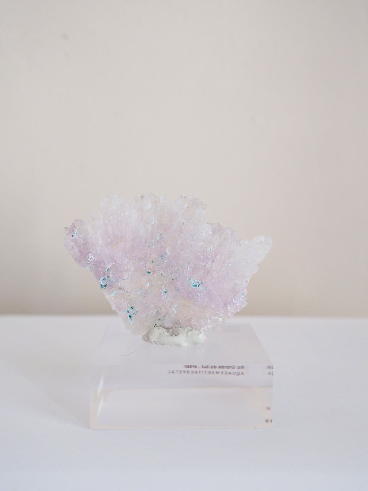 Amethyst Flower . Amethyst Blume Specimen - Rio Grande do Sul . Brasilien HIGH QUALITY