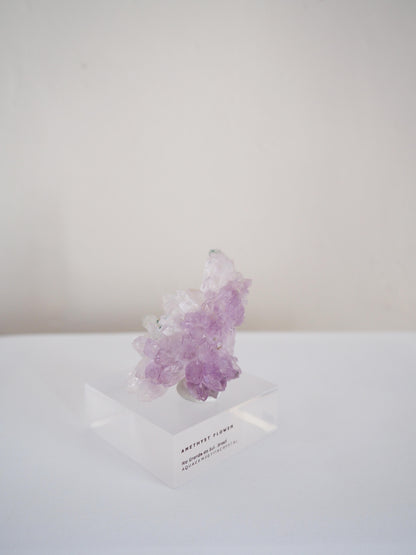 Amethyst Flower . Amethyst Blume Specimen - Rio Grande do Sul . Brasilien HIGH QUALITY