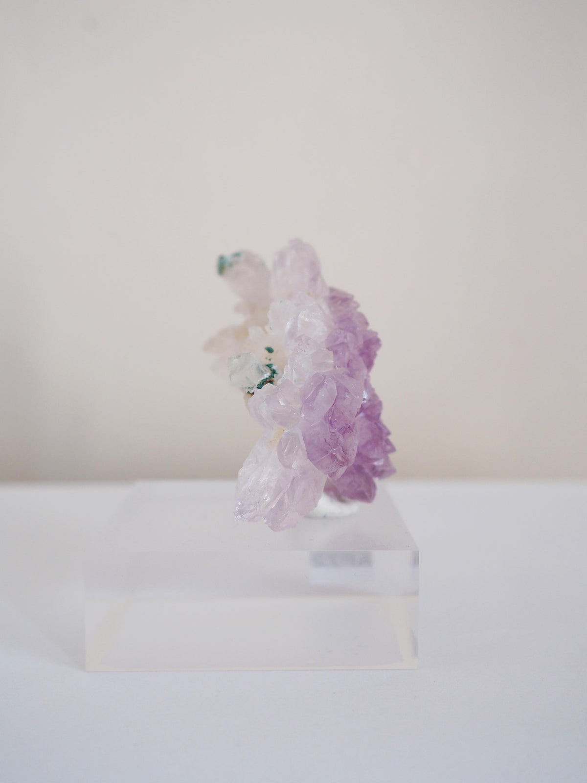 Amethyst Flower . Amethyst Blume Specimen - Rio Grande do Sul . Brasilien HIGH QUALITY