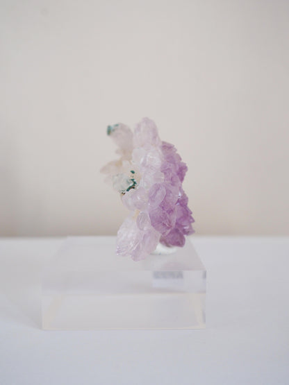 Amethyst Flower . Amethyst Blume Specimen - Rio Grande do Sul . Brasilien HIGH QUALITY
