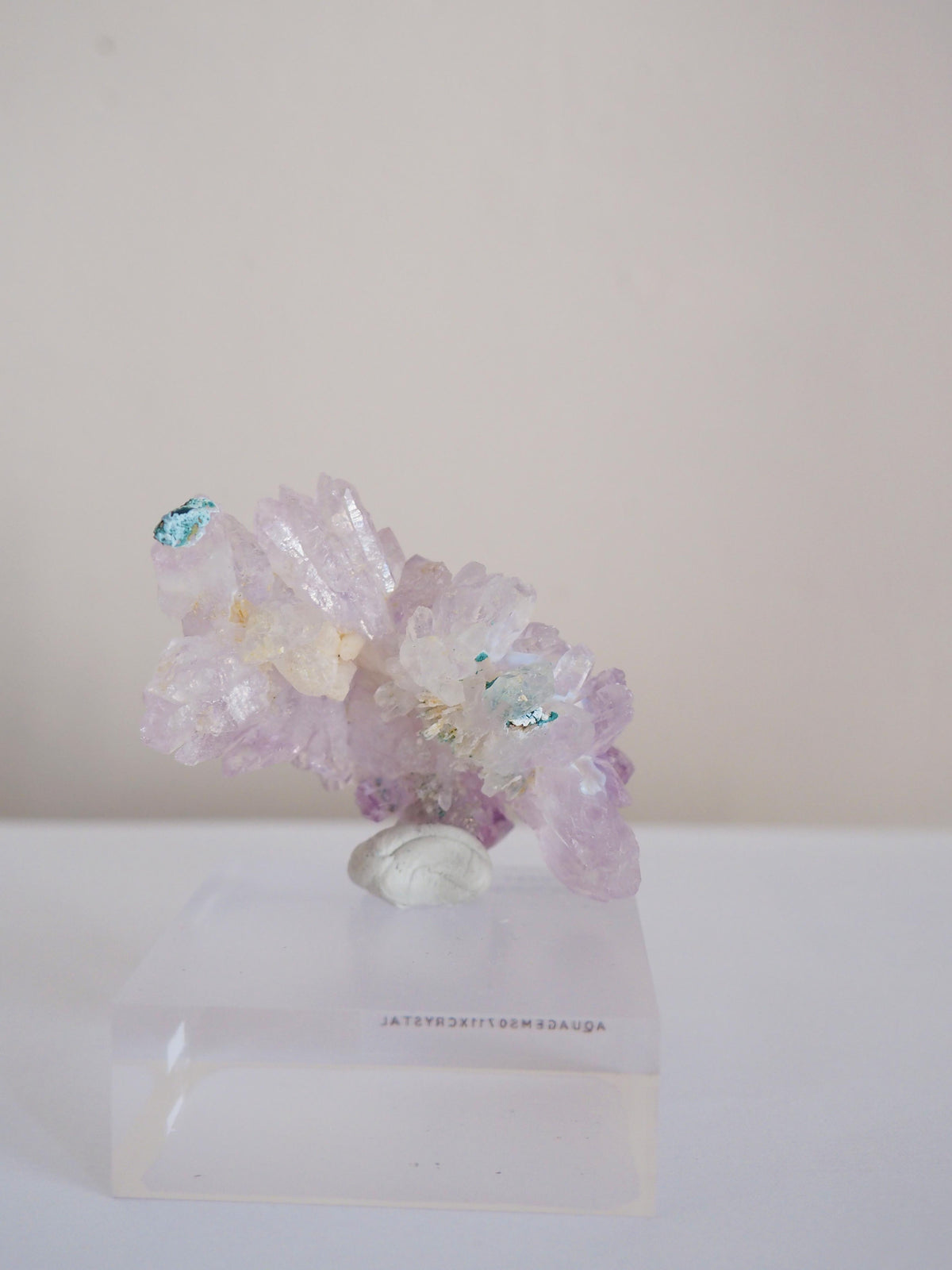 Amethyst Flower . Amethyst Blume Specimen - Rio Grande do Sul . Brasilien HIGH QUALITY