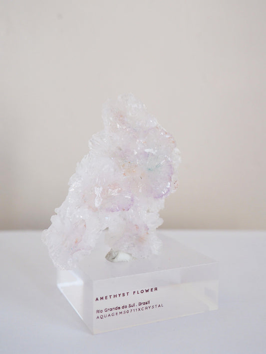 Amethyst Flower . Amethyst Blume Specimen - Rio Grande do Sul . Brasilien HIGH QUALITY