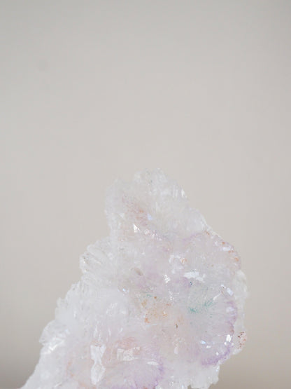 Amethyst Flower . Amethyst Blume Specimen - Rio Grande do Sul . Brasilien HIGH QUALITY