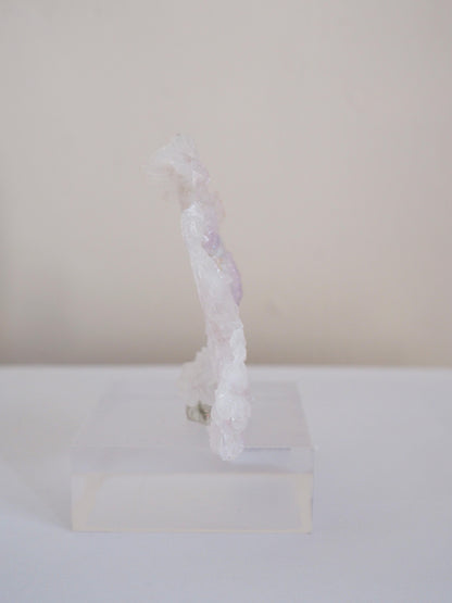 Amethyst Flower . Amethyst Blume Specimen - Rio Grande do Sul . Brasilien HIGH QUALITY