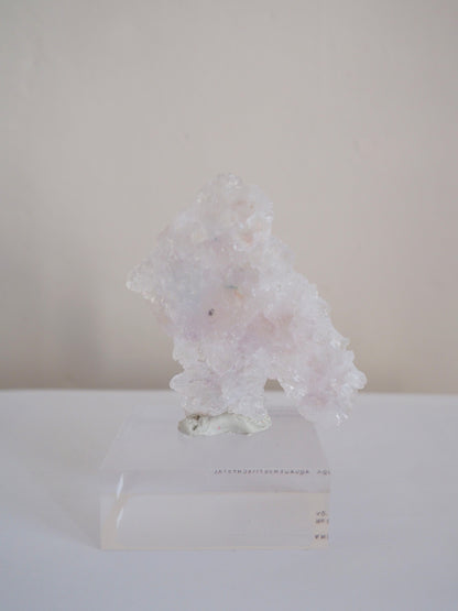Amethyst Flower . Amethyst Blume Specimen - Rio Grande do Sul . Brasilien HIGH QUALITY