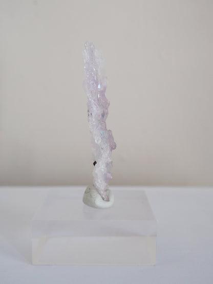 Amethyst Flower . Amethyst Blume Specimen - Rio Grande do Sul . Brasilien HIGH QUALITY