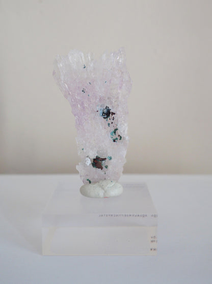 Amethyst Flower . Amethyst Blume Specimen - Rio Grande do Sul . Brasilien HIGH QUALITY