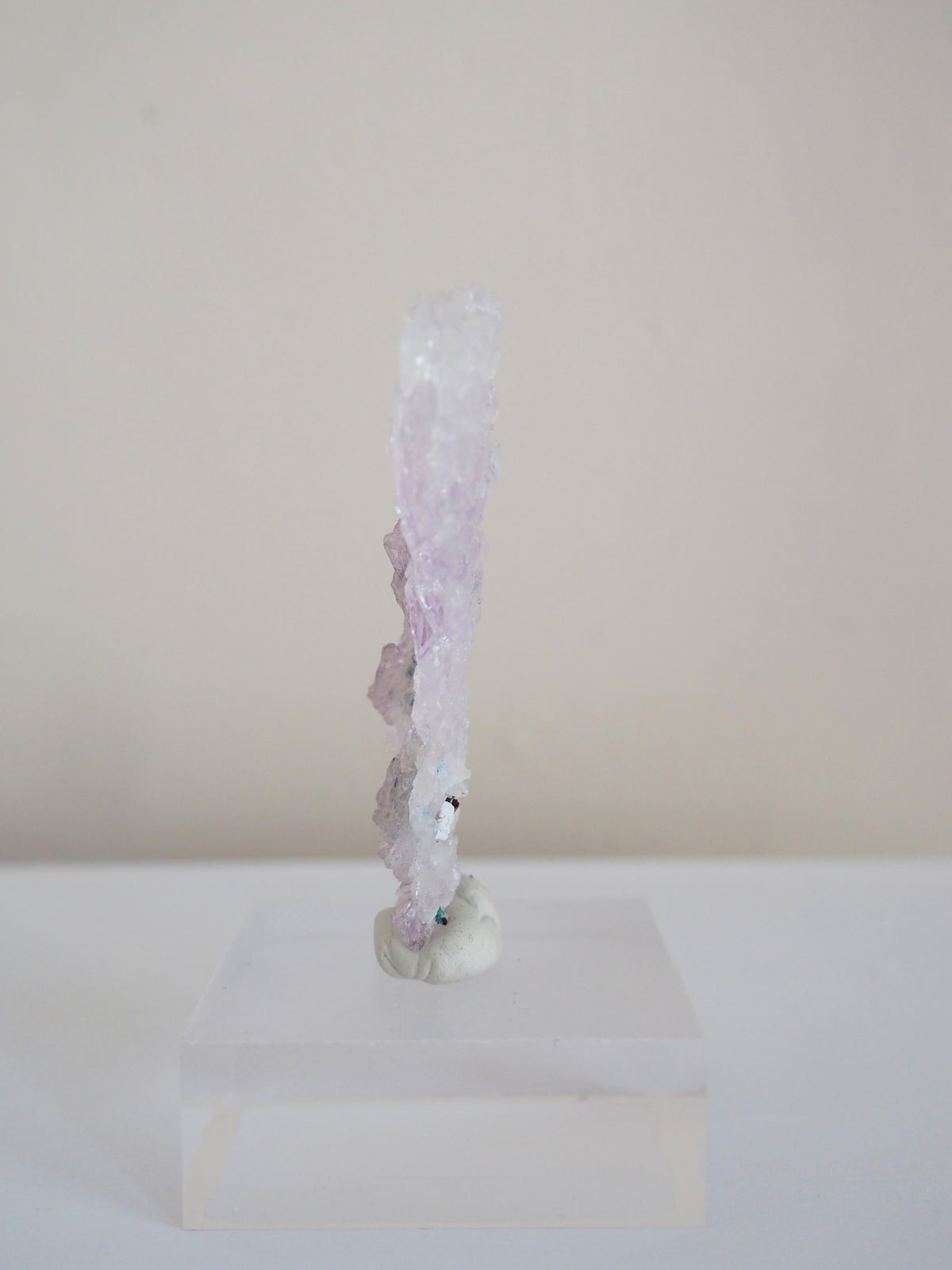 Amethyst Flower . Amethyst Blume Specimen - Rio Grande do Sul . Brasilien HIGH QUALITY