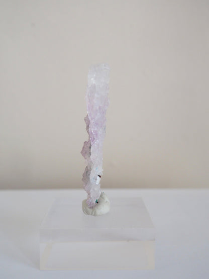 Amethyst Flower . Amethyst Blume Specimen - Rio Grande do Sul . Brasilien HIGH QUALITY