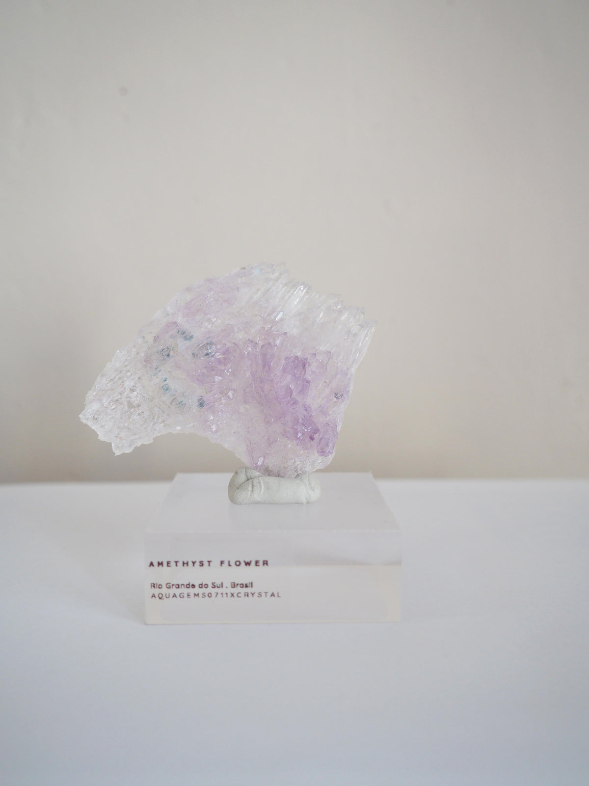 Amethyst Flower . Amethyst Blume Specimen - Rio Grande do Sul . Brasilien HIGH QUALITY