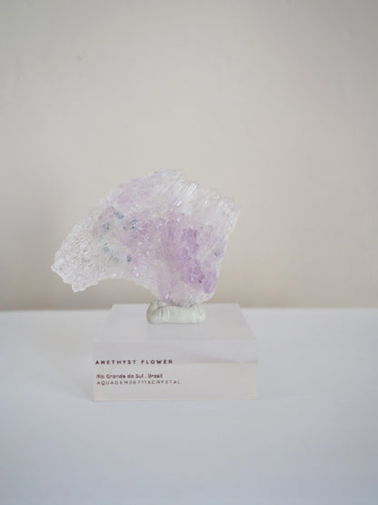 Amethyst Flower . Amethyst Blume Specimen - Rio Grande do Sul . Brasilien HIGH QUALITY