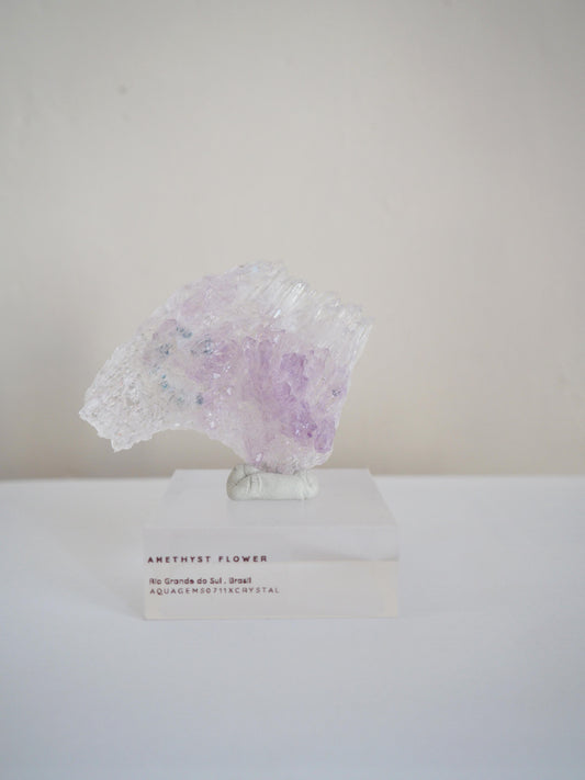 Amethyst Flower . Amethyst Blume Specimen - Rio Grande do Sul . Brasilien HIGH QUALITY