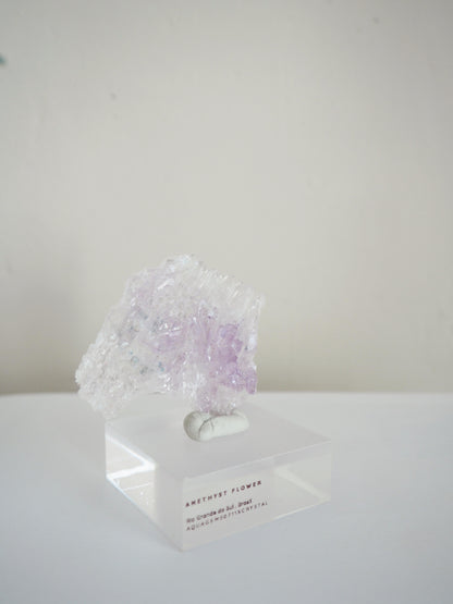 Amethyst Flower . Amethyst Blume Specimen - Rio Grande do Sul . Brasilien HIGH QUALITY
