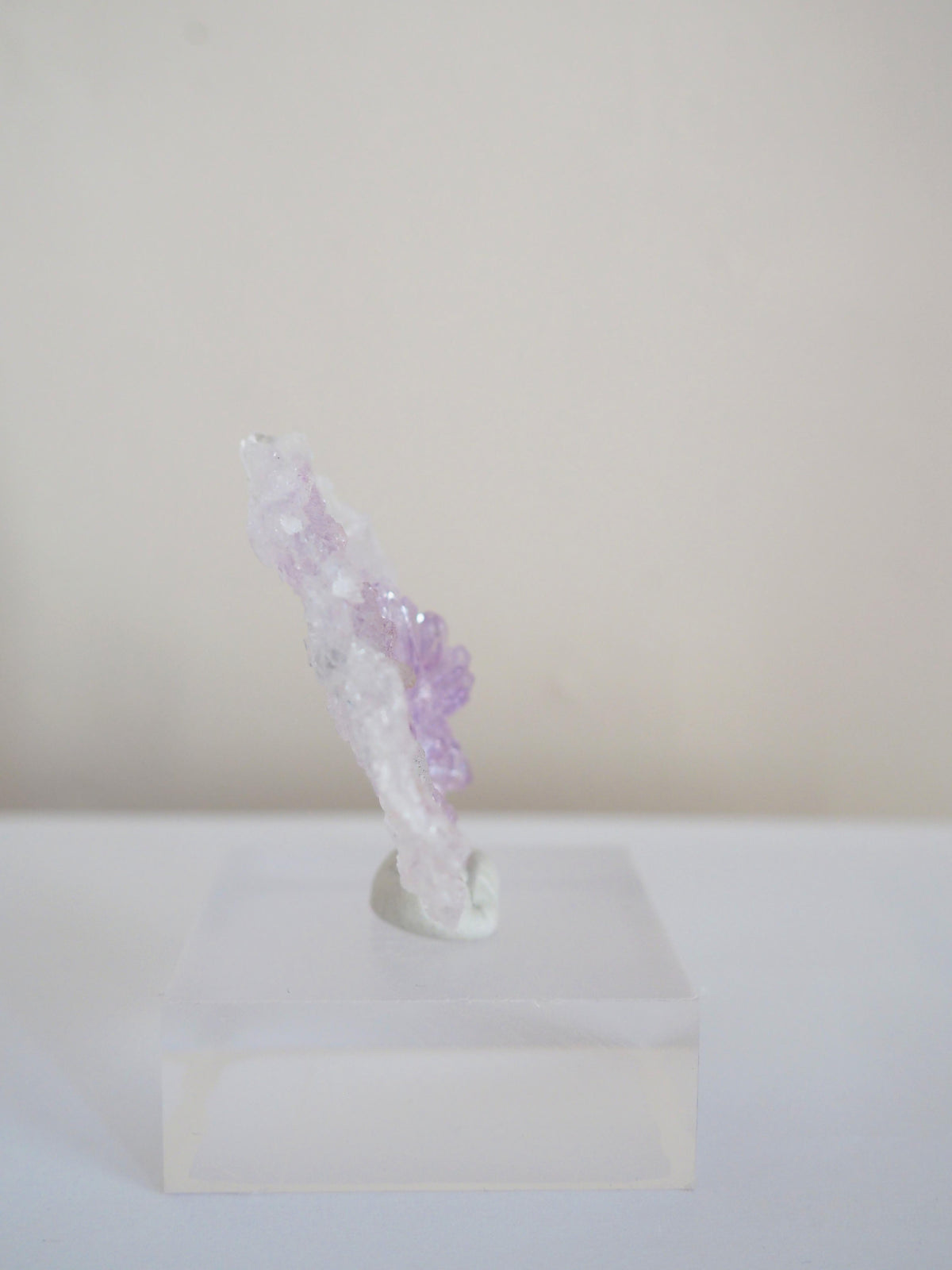 Amethyst Flower . Amethyst Blume Specimen - Rio Grande do Sul . Brasilien HIGH QUALITY