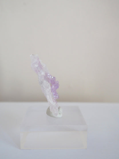 Amethyst Flower . Amethyst Blume Specimen - Rio Grande do Sul . Brasilien HIGH QUALITY