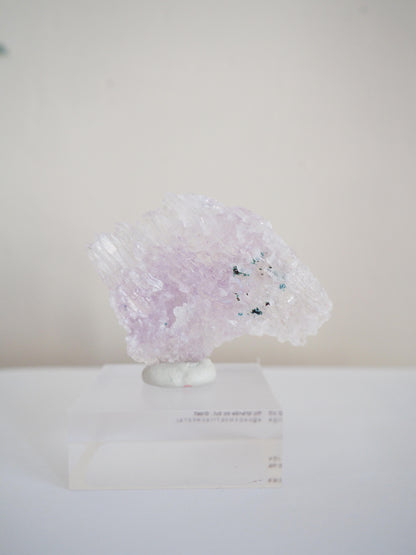 Amethyst Flower . Amethyst Blume Specimen - Rio Grande do Sul . Brasilien HIGH QUALITY