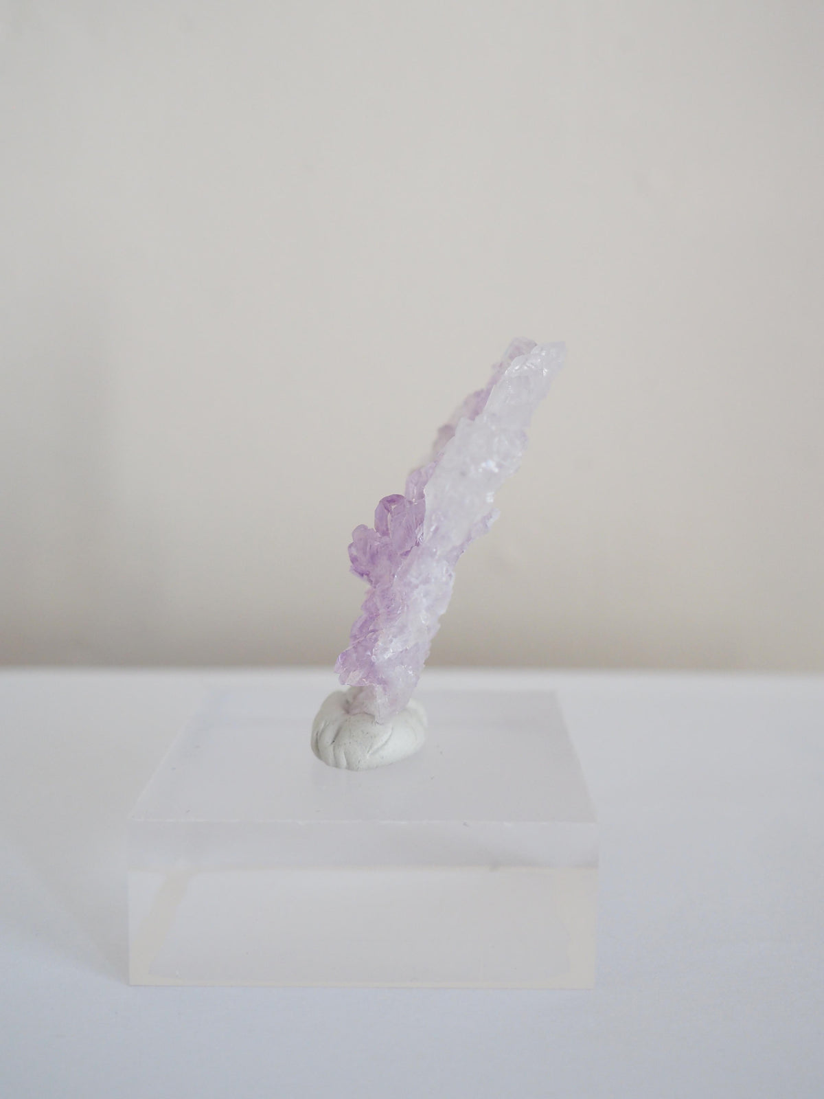 Amethyst Flower . Amethyst Blume Specimen - Rio Grande do Sul . Brasilien HIGH QUALITY