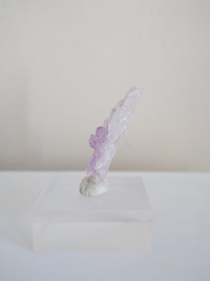 Amethyst Flower . Amethyst Blume Specimen - Rio Grande do Sul . Brasilien HIGH QUALITY