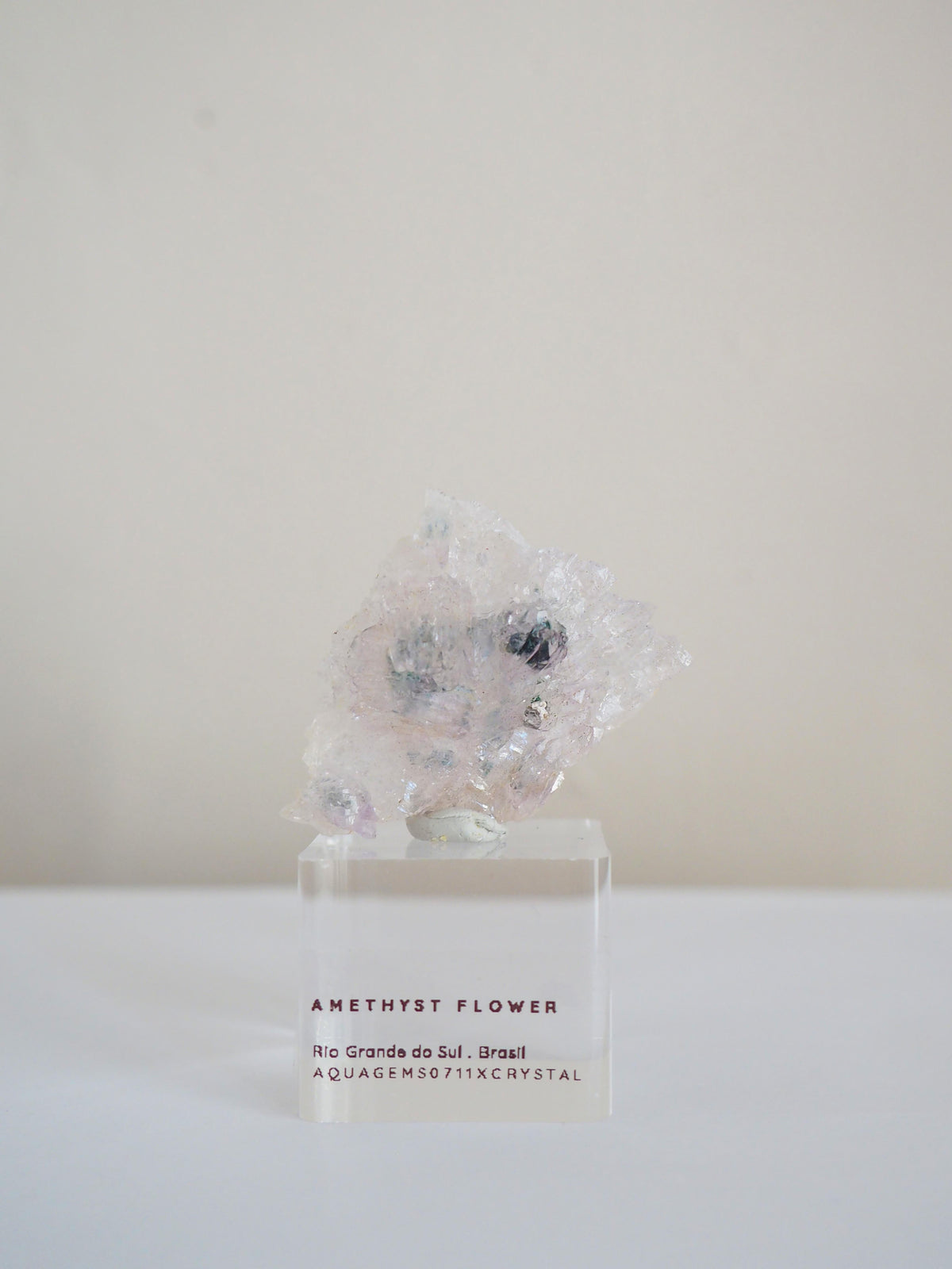 Amethyst Flower . Amethyst Blume Specimen - Rio Grande do Sul . Brasilien HIGH QUALITY