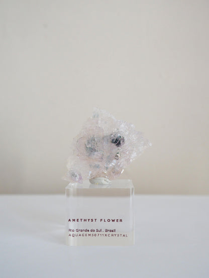 Amethyst Flower . Amethyst Blume Specimen - Rio Grande do Sul . Brasilien HIGH QUALITY