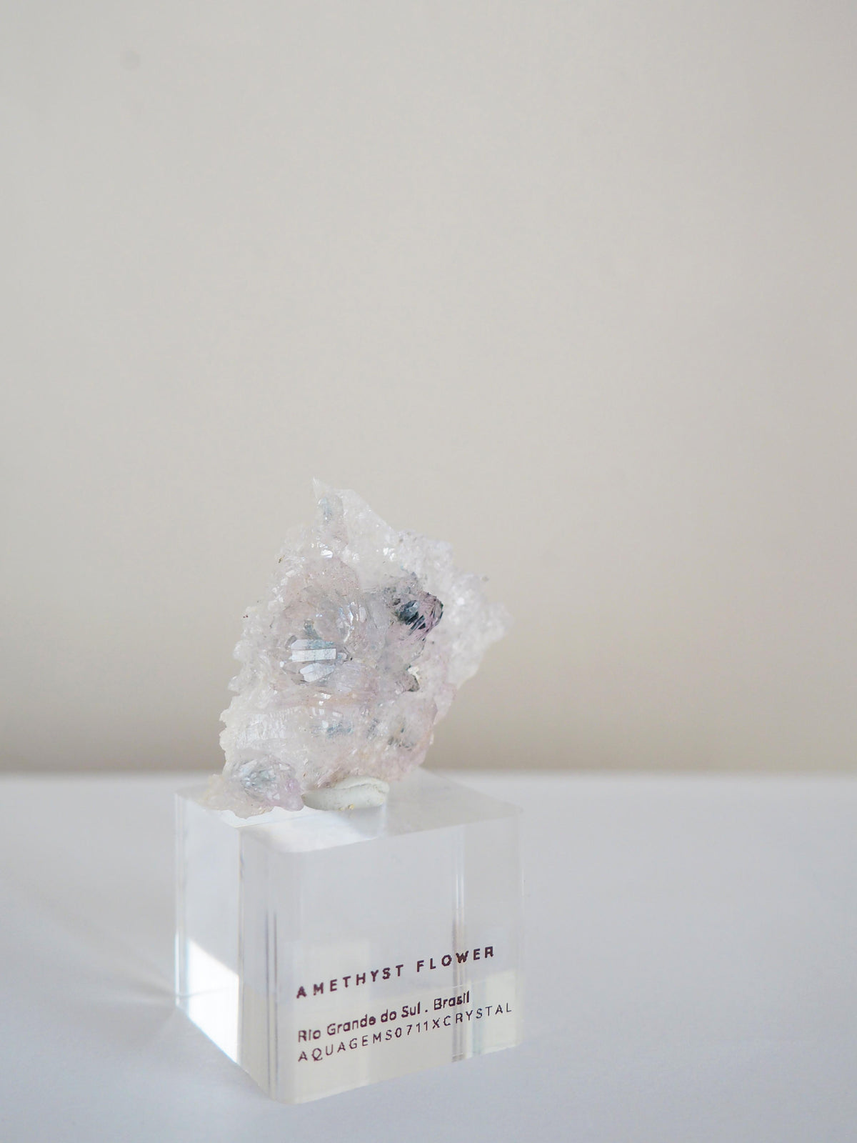 Amethyst Flower . Amethyst Blume Specimen - Rio Grande do Sul . Brasilien HIGH QUALITY