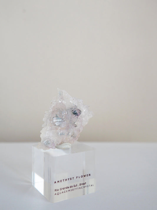 Amethyst Flower . Amethyst Blume Specimen - Rio Grande do Sul . Brasilien HIGH QUALITY