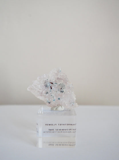 Amethyst Flower . Amethyst Blume Specimen - Rio Grande do Sul . Brasilien HIGH QUALITY