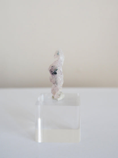 Amethyst Flower . Amethyst Blume Specimen - Rio Grande do Sul . Brasilien HIGH QUALITY