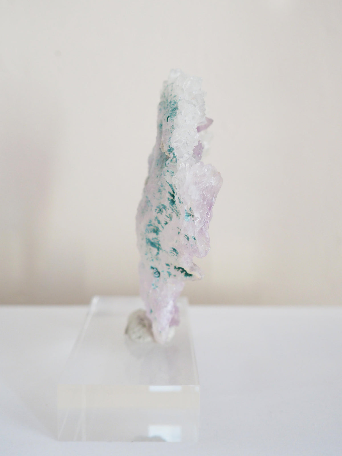 Amethyst Flower . Amethyst Blume Specimen - Rio Grande do Sul . Brasilien HIGH QUALITY