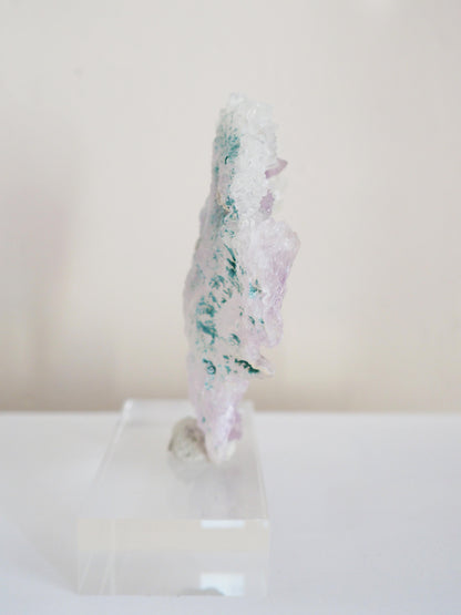 Amethyst Flower . Amethyst Blume Specimen - Rio Grande do Sul . Brasilien HIGH QUALITY