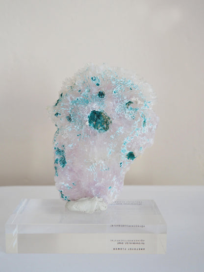 Amethyst Flower . Amethyst Blume Specimen - Rio Grande do Sul . Brasilien HIGH QUALITY