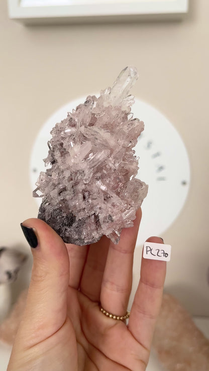 Sacred Pink Lemurian ca. xx cm - aus Santander. Colombia RARE HIGH QUALITY