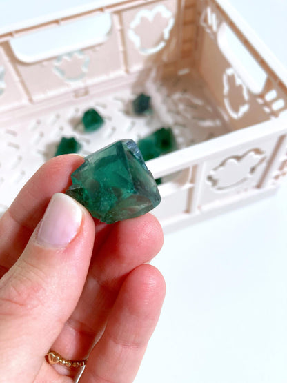 MAGISCHER Farbverändernder Hidden Forest pocket Fluorit Twin - Diana Maria Mine Fluorit Doppelquader . Colorchanging Fluorite  ca. 2 cm - aus  Frosterley, Weardale, England High Quality