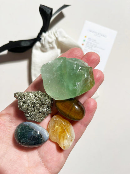 Kristall Set . Erfolg . Geld . Überfluss .  CRYSTAL KIT MONEY & ABUNDANCE . Citrin . Grüner Calcit . Tigerauge . Pyrit . Moosachat