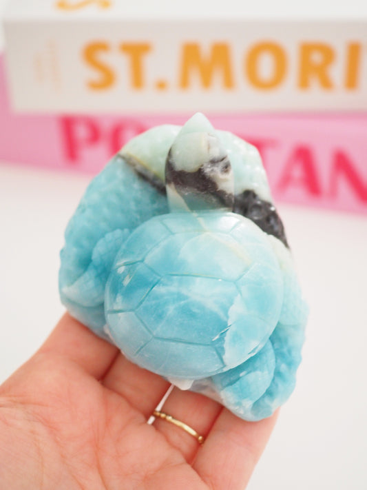 Wasser Schildkröte Blauer Himmels Opal . Amazonit . Blue Sky Opal ca 9cm  - aus China Hand Carved []