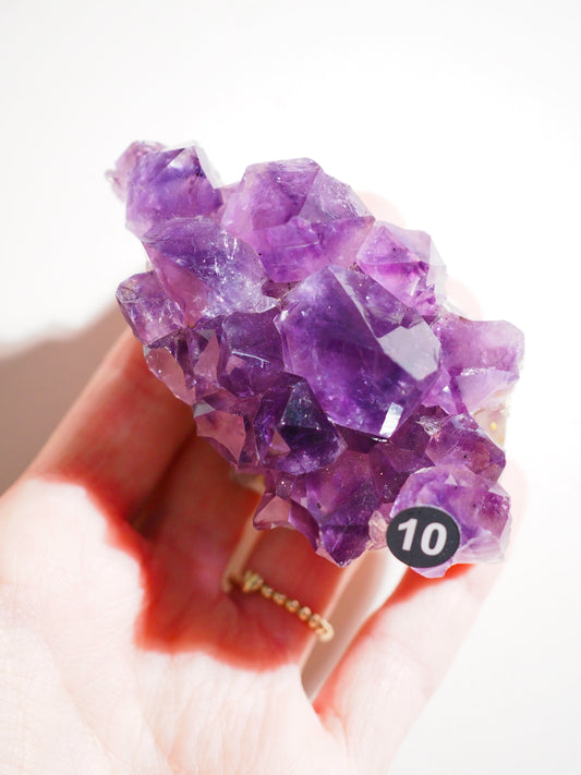 Amethyst Cluster ca. 8 cm - aus Brasilien HIGH QUALITY [10]