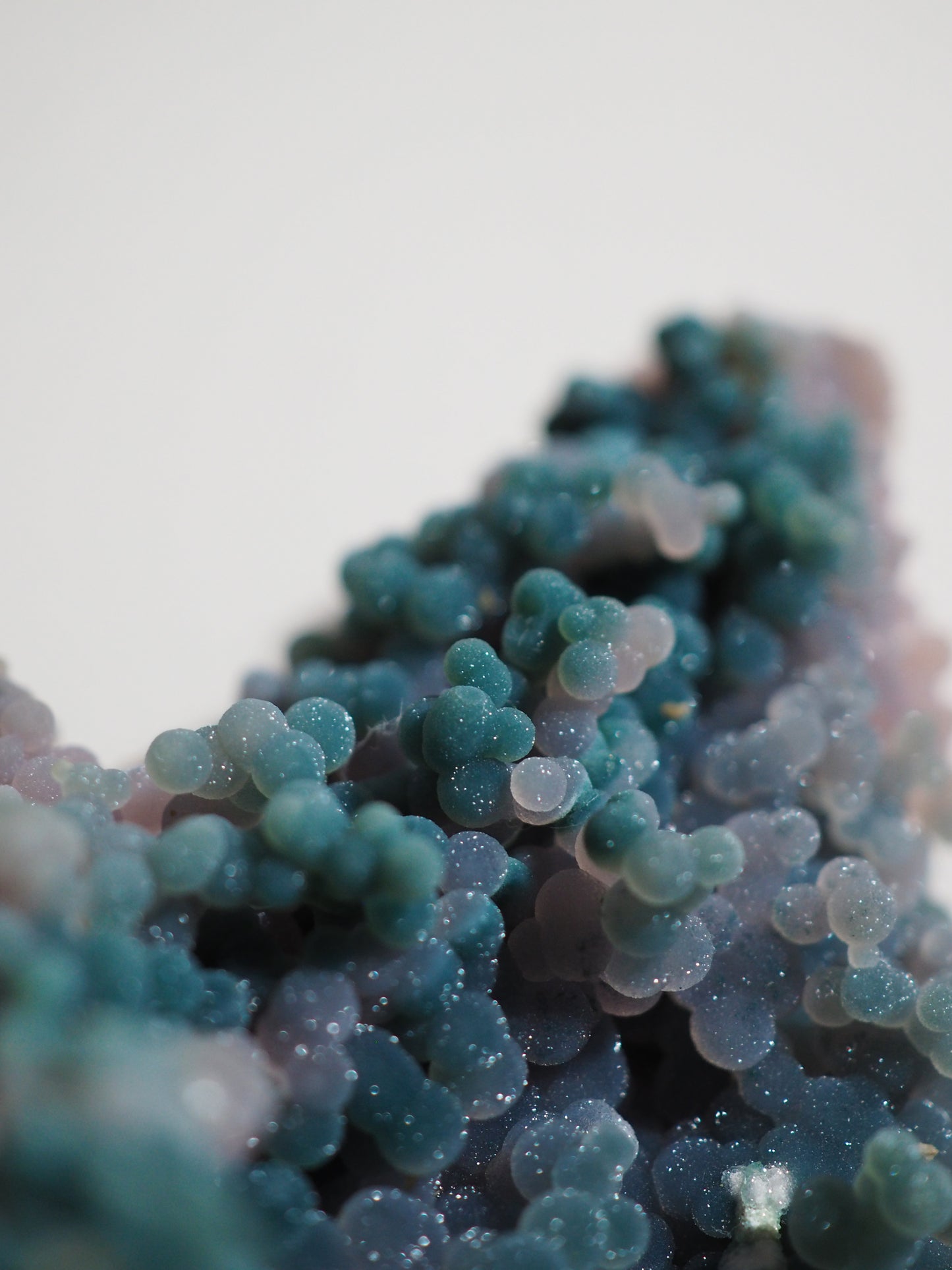 Trauben Achat / Grape Agate  . Traubenachat  Bicolor "LE DOLPHIN" 15 cm 578 g - aus Mamuju Area West-Sulawesi Indonesien - High Quality RARE COLOR