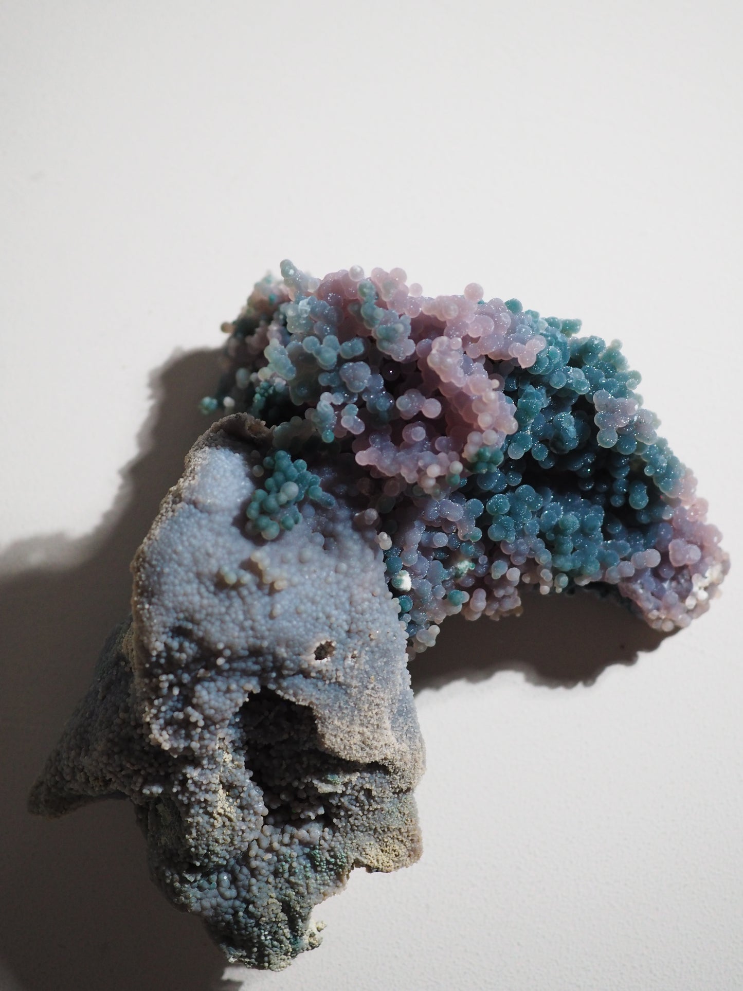 Trauben Achat / Grape Agate  . Traubenachat  Bicolor "LE DOLPHIN" 15 cm 578 g - aus Mamuju Area West-Sulawesi Indonesien - High Quality RARE COLOR
