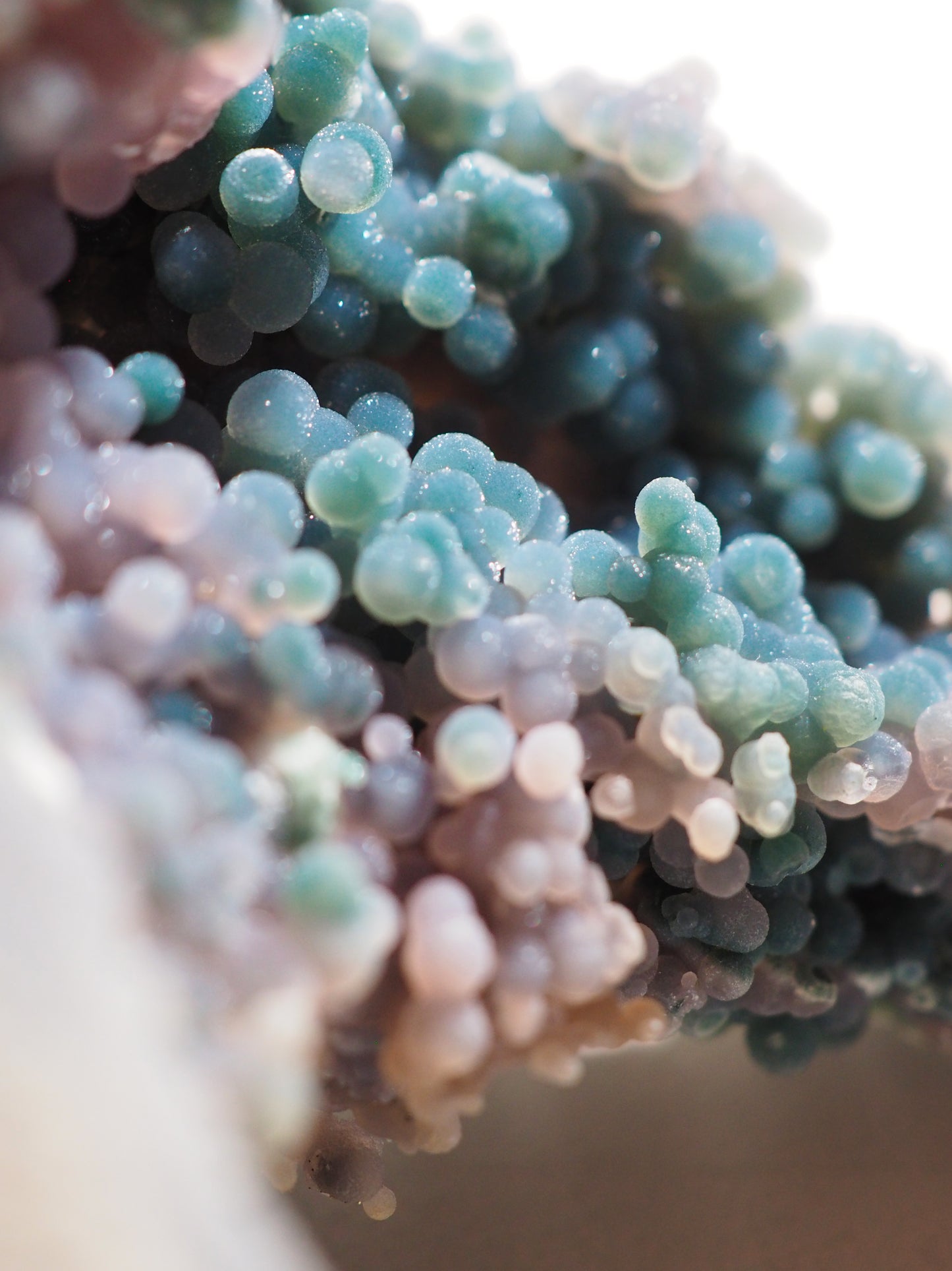Trauben Achat / Grape Agate  . Traubenachat  Bicolor "LE DOLPHIN" 15 cm 578 g - aus Mamuju Area West-Sulawesi Indonesien - High Quality RARE COLOR
