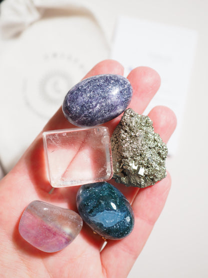Kristall Set Fokus . CRYSTAL KIT FOCUS . Lepidolite . Pyrit . Bergkristall . Fluorit . Moosachat