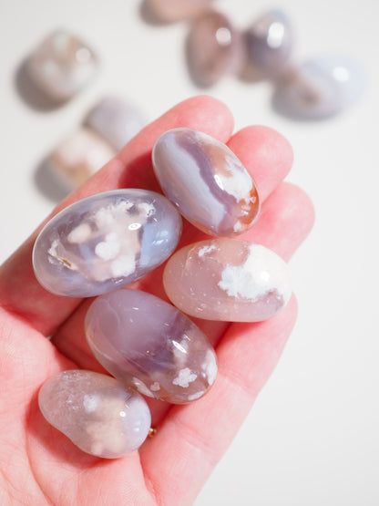 Blumenachat Trommel Stein . Flower Agate Tumble ca. 2-3cm -  aus Madagascar HIGH QUALITY