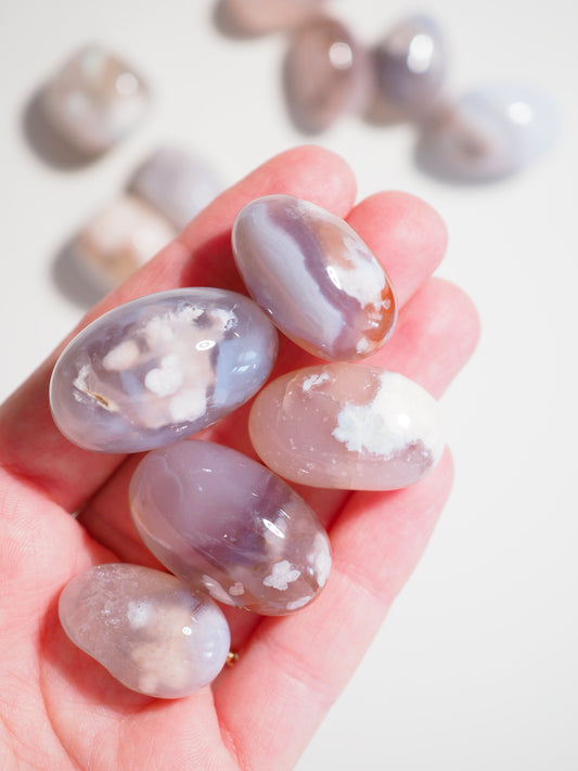 Blumenachat Trommel Stein . Flower Agate Tumble ca. 2-3cm -  aus Madagascar HIGH QUALITY