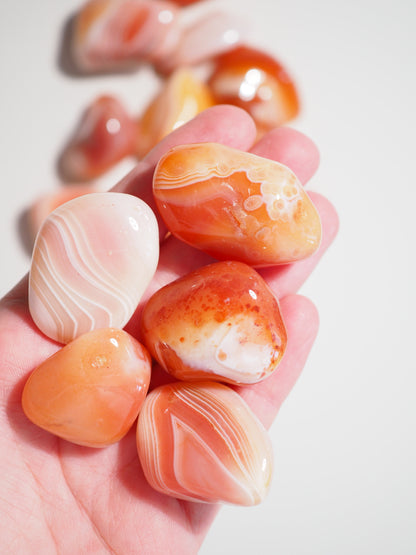 Aprikosen Achat Trommel Stein . Apricot Agate Tumble 2-3cm - aus Botswana HIGH QUALITY
