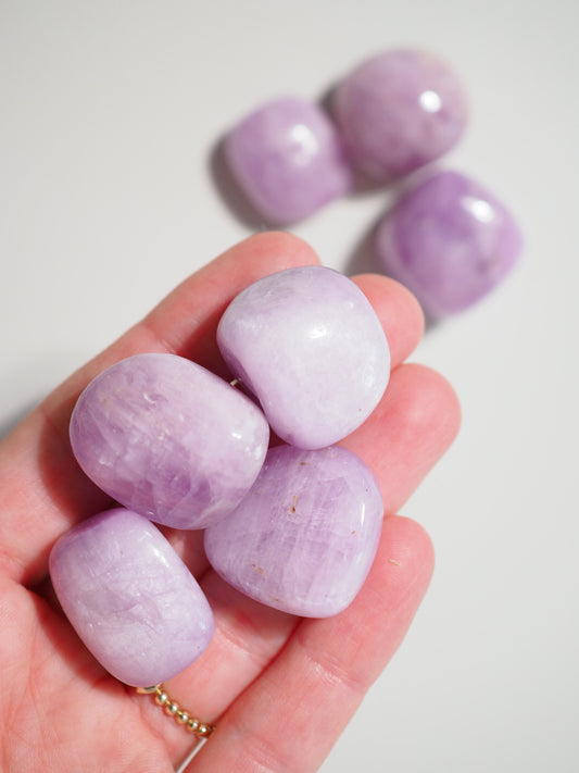 Kunzit Trommel Stein . Kunzite Tumble ca. 2-3 cm Trommel Stein - aus Nigeria HIGH QUALITY