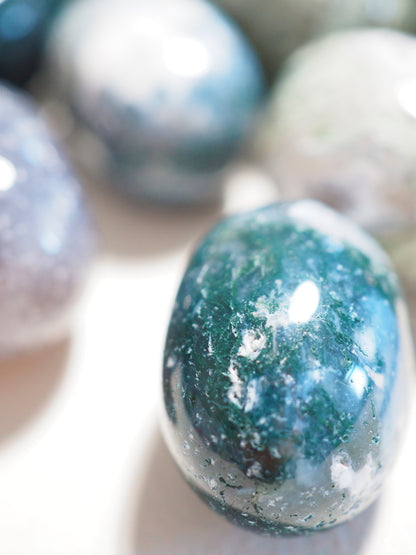 Moos Achat . Moss Agate Trommelstein ca 2-3cm Oval Shape - aus Indien HIGH QUALITY