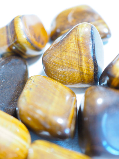 Tigerauge Trommelsteine . Tigerseye Tumble ca 2-4 cm - aus Südafrika HIGH QUALITY