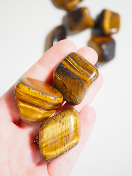 Tigerauge Trommelsteine . Tigerseye Tumble ca 2-4 cm - aus Südafrika HIGH QUALITY