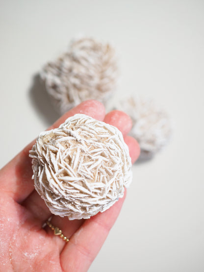 XL Sandrose Frostig Roh  . Desert Rose Frosty Raw ca. 5 cm - aus Mexiko HIGH QUALITY